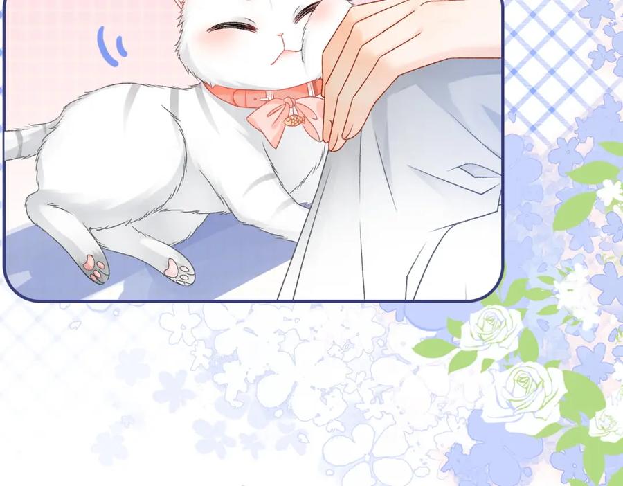 她又又又上热搜啦 第23话 吃猫猫的醋 第22页