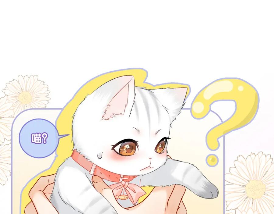 她又又又上热搜啦 第23话 吃猫猫的醋 第34页
