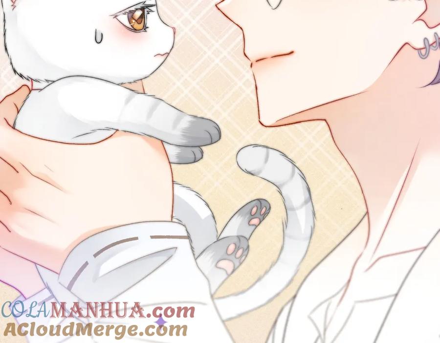 她又又又上热搜啦 第23话 吃猫猫的醋 第37页