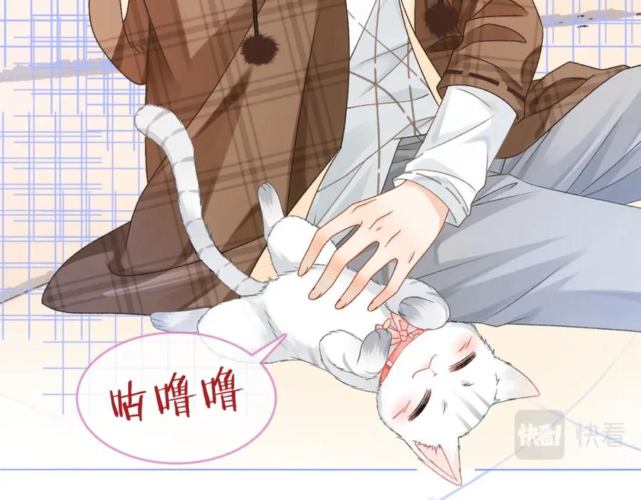 她又又又上热搜啦 第23话 吃猫猫的醋 第15页