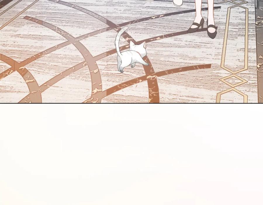 她又又又上热搜啦 第33话 兔兔保卫战 第102页