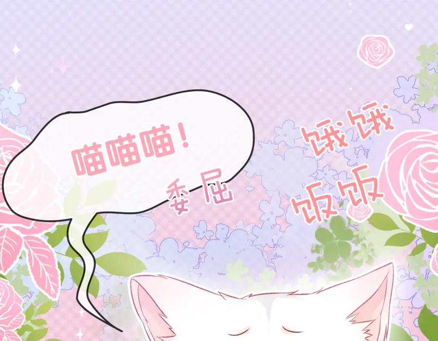 她又又又上热搜啦 第34话 “受伤”的总是小猫咪 第18页