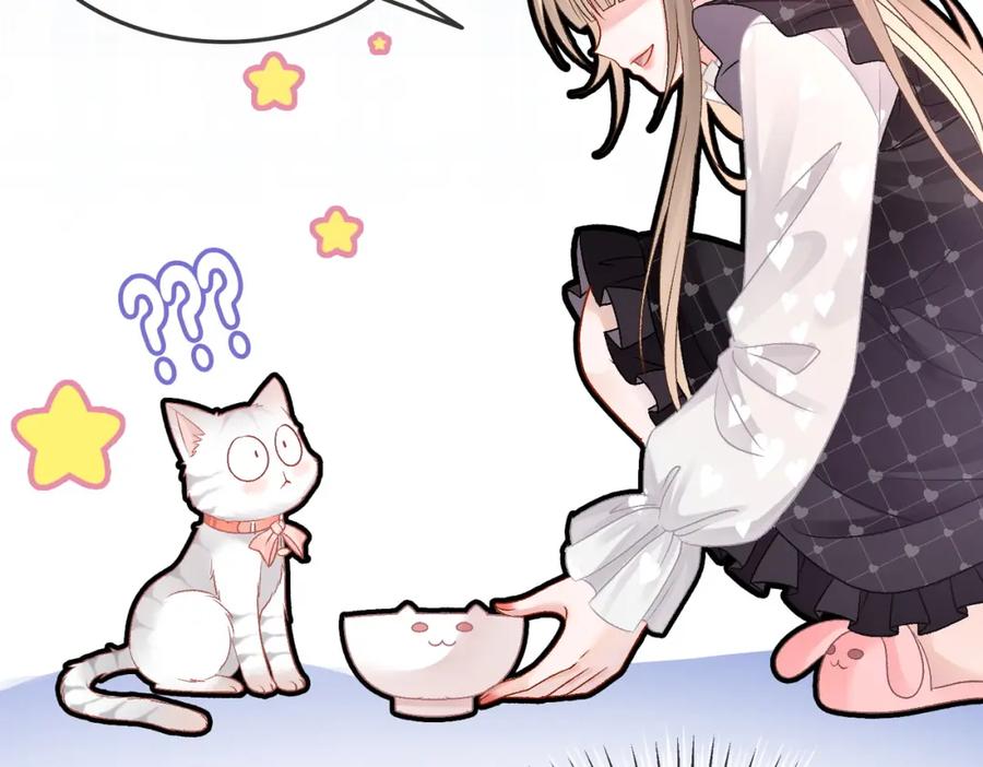 她又又又上热搜啦 第34话 “受伤”的总是小猫咪 第68页