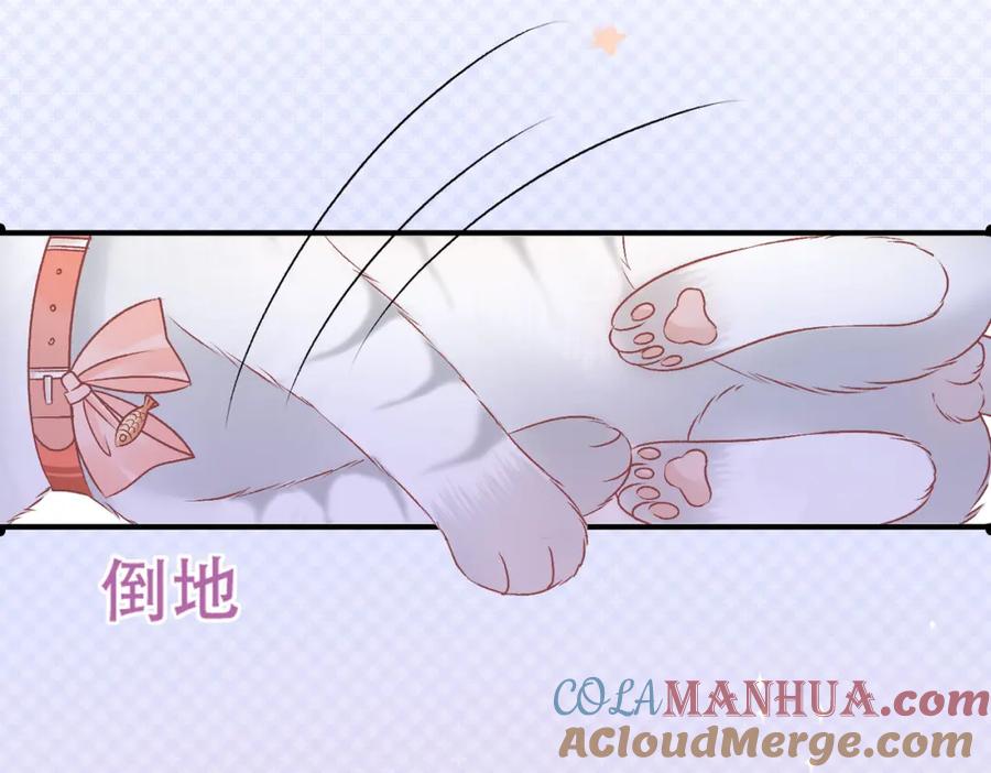 她又又又上热搜啦 第34话 “受伤”的总是小猫咪 第17页