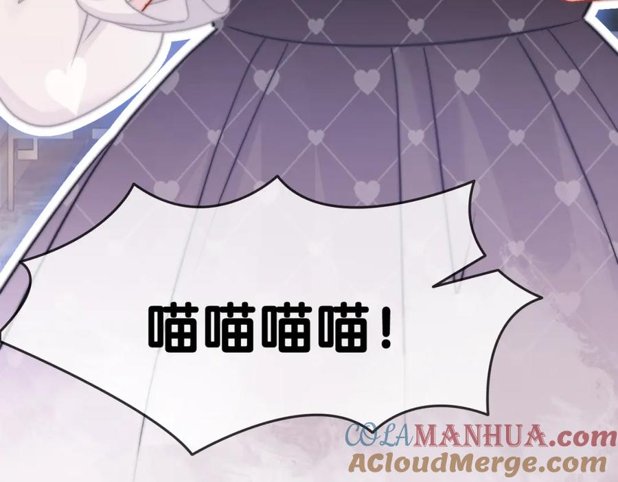 她又又又上热搜啦 第34话 “受伤”的总是小猫咪 第49页