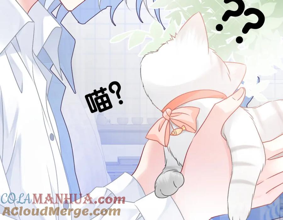 她又又又上热搜啦 第34话 “受伤”的总是小猫咪 第29页