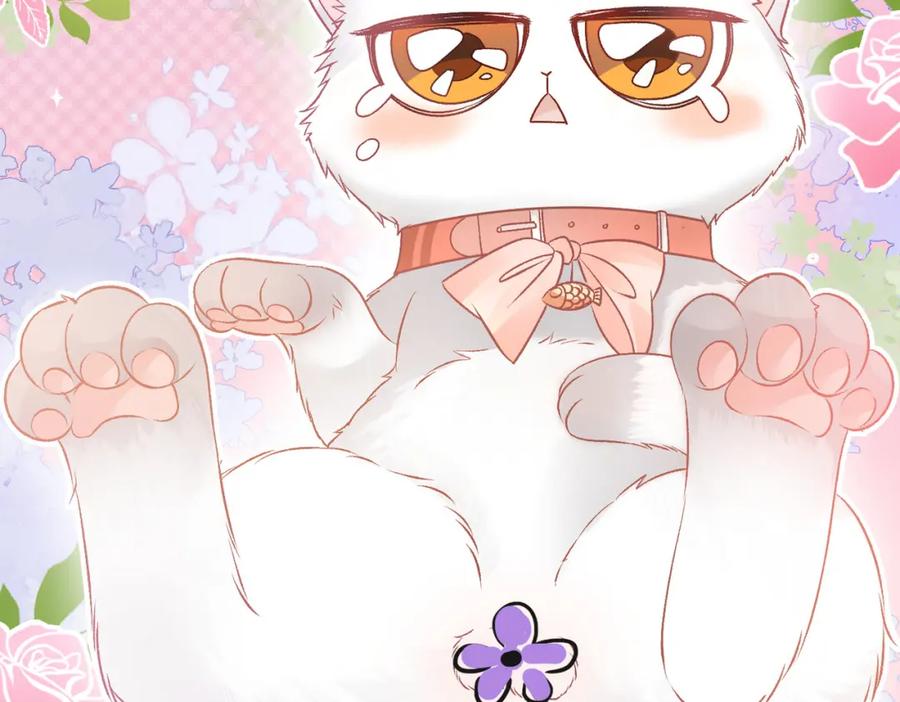 她又又又上热搜啦 第34话 “受伤”的总是小猫咪 第19页
