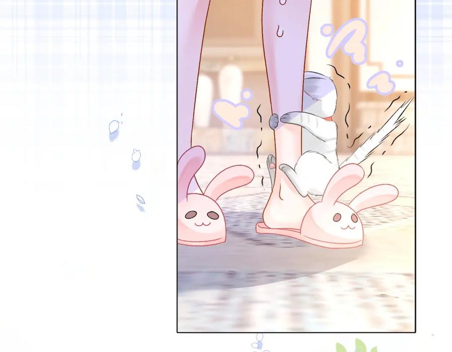 她又又又上热搜啦 第34话 “受伤”的总是小猫咪 第56页
