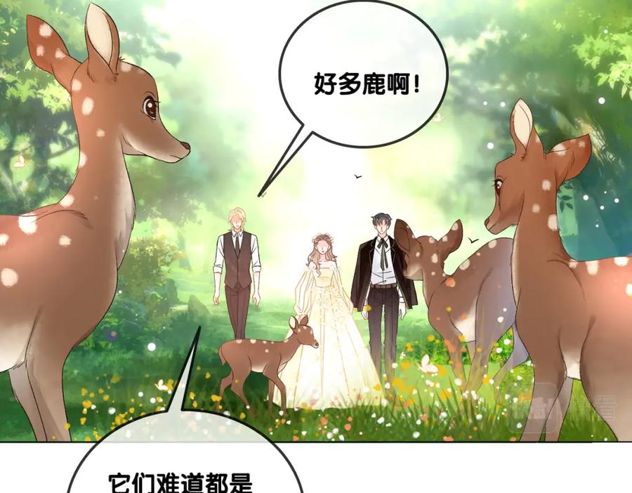 她又又又上热搜啦 第50话 绝美森林拍摄 第56页