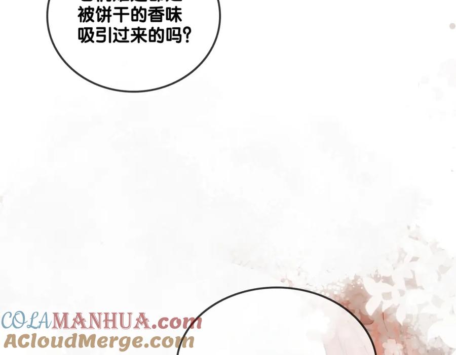 她又又又上热搜啦 第50话 绝美森林拍摄 第57页