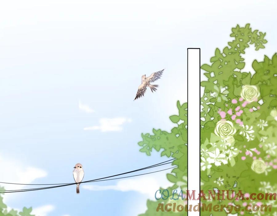 她又又又上热搜啦 第54话 真正的爱 第65页