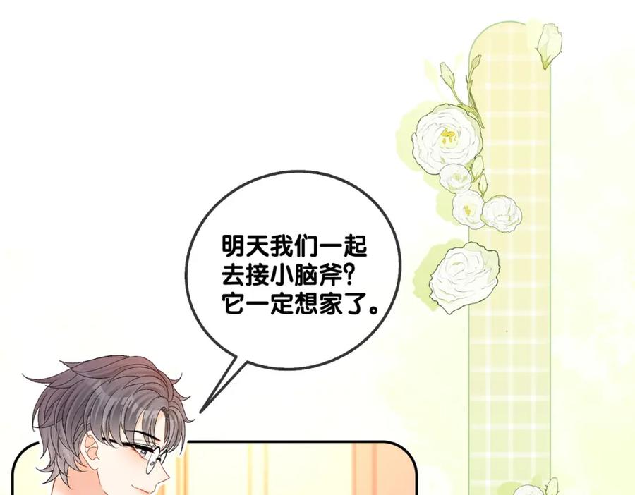 她又又又上热搜啦 第60话 兔兔害羞 第4页