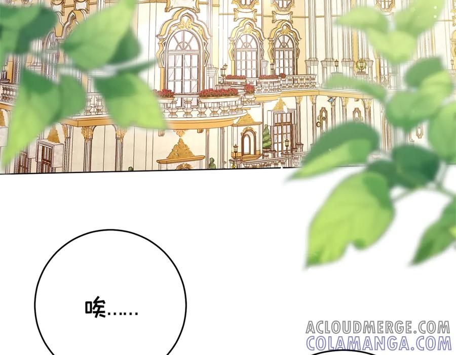 《转身成为恶女女王》第10话 偷梁换柱 第5页