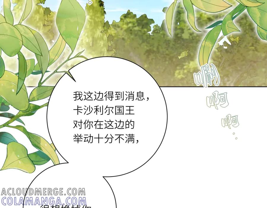 《转身成为恶女女王》第17话 狼狈的说客 第5页