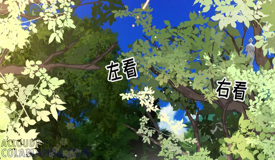 《凯洛斯山的十叶花》第5话 讨厌的皇后 第93页
