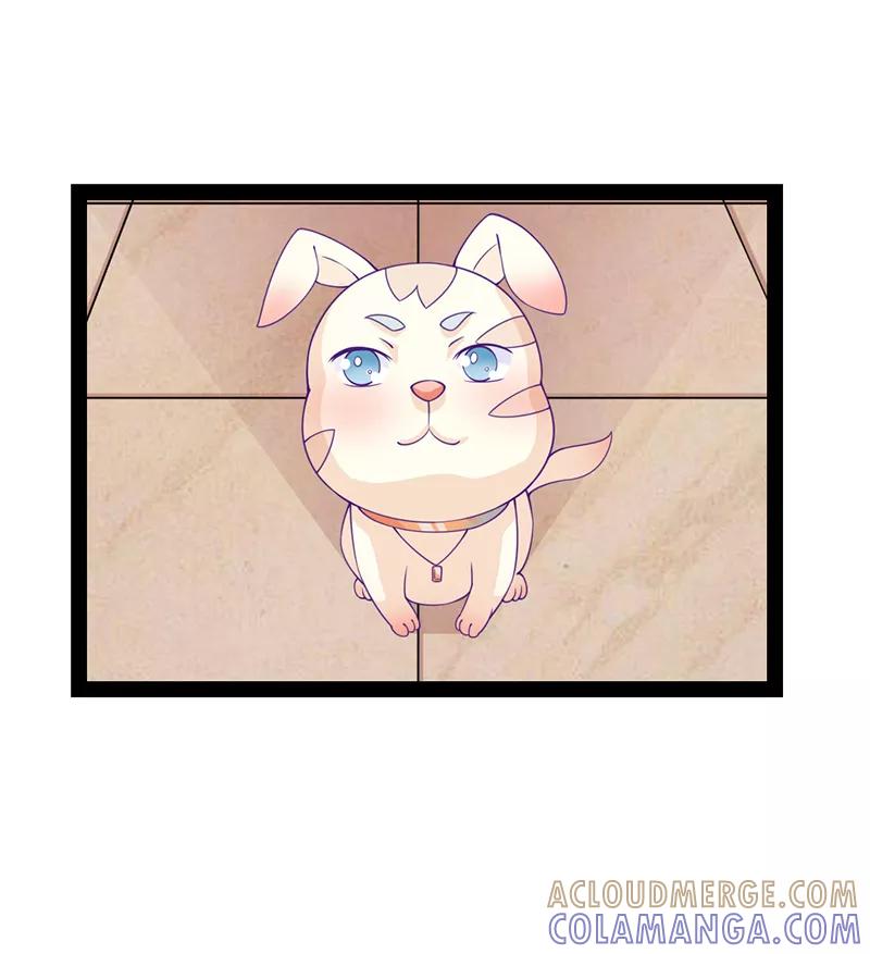 《狗粮好吃》第35话 第13页