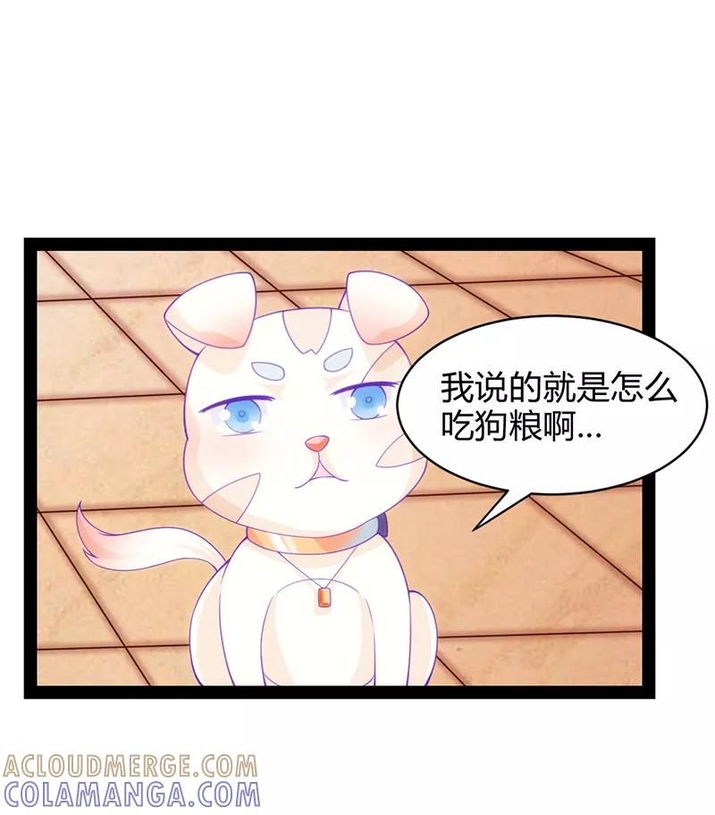 《狗粮好吃》第36话 第11页