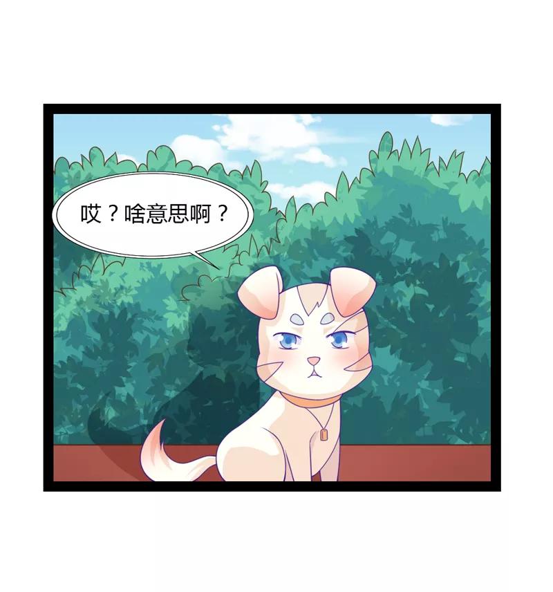 《狗粮好吃》第39话 第8页