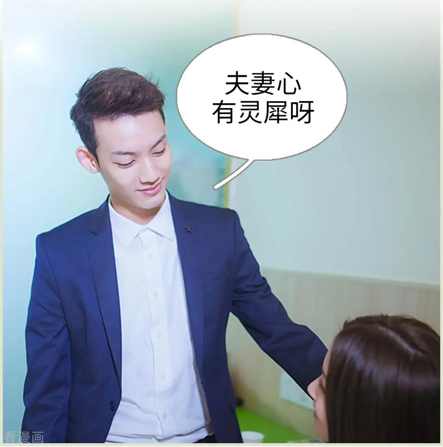《狐狸小姐和灰狼总裁》第40话 第14页