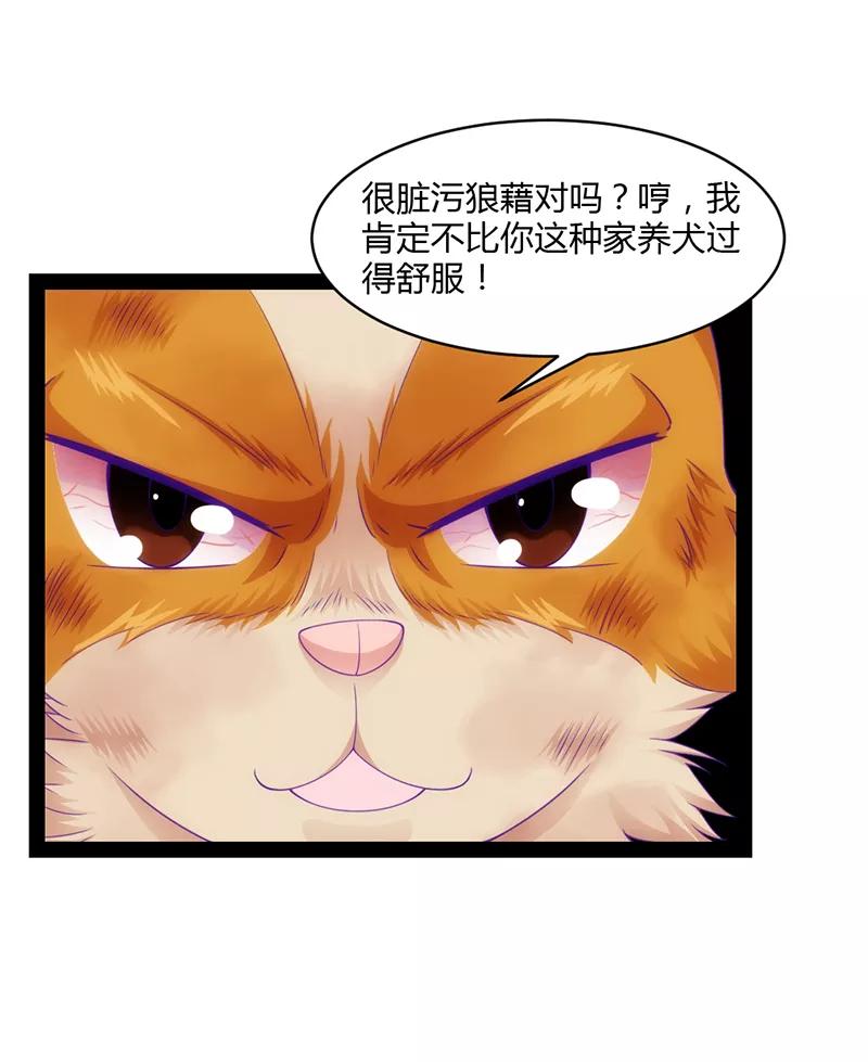 《狗粮好吃》第41话 第12页