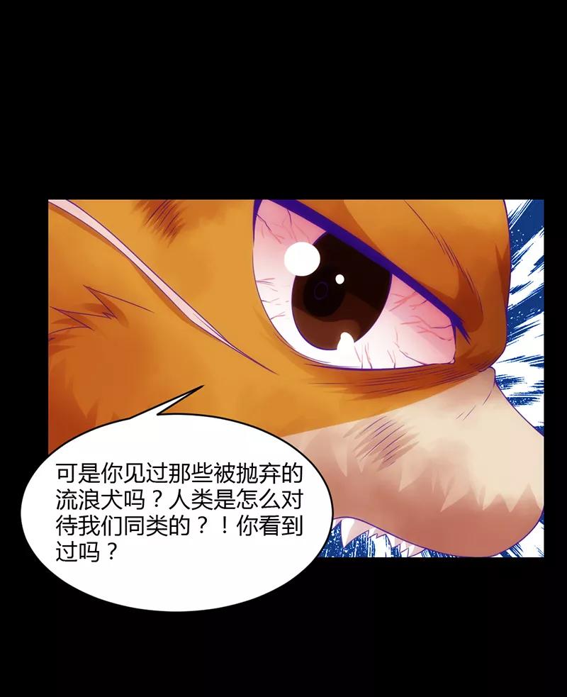 《狗粮好吃》第41话 第16页