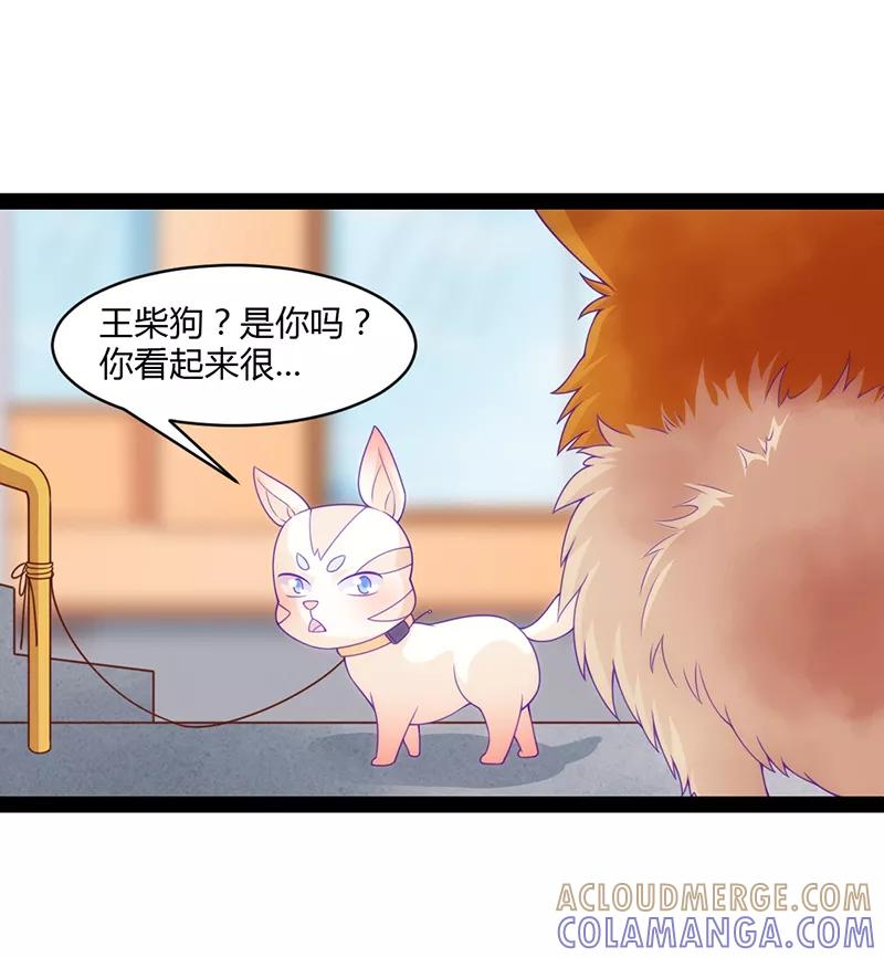 《狗粮好吃》第41话 第11页