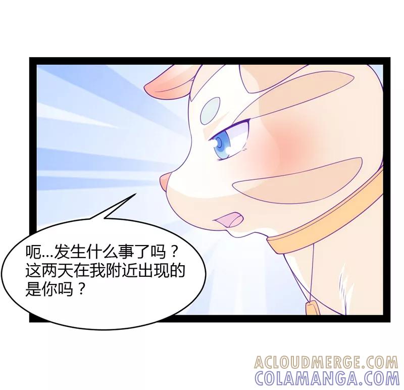 《狗粮好吃》第41话 第13页