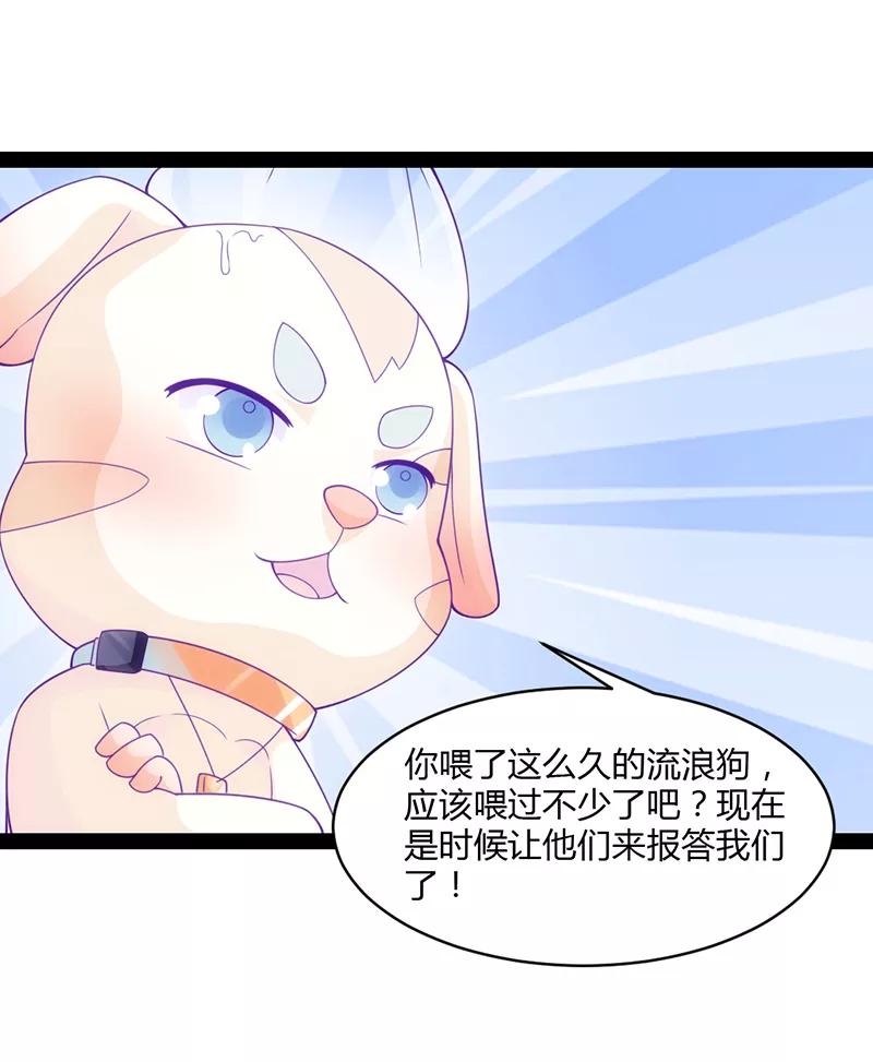 《狗粮好吃》第42话 第24页