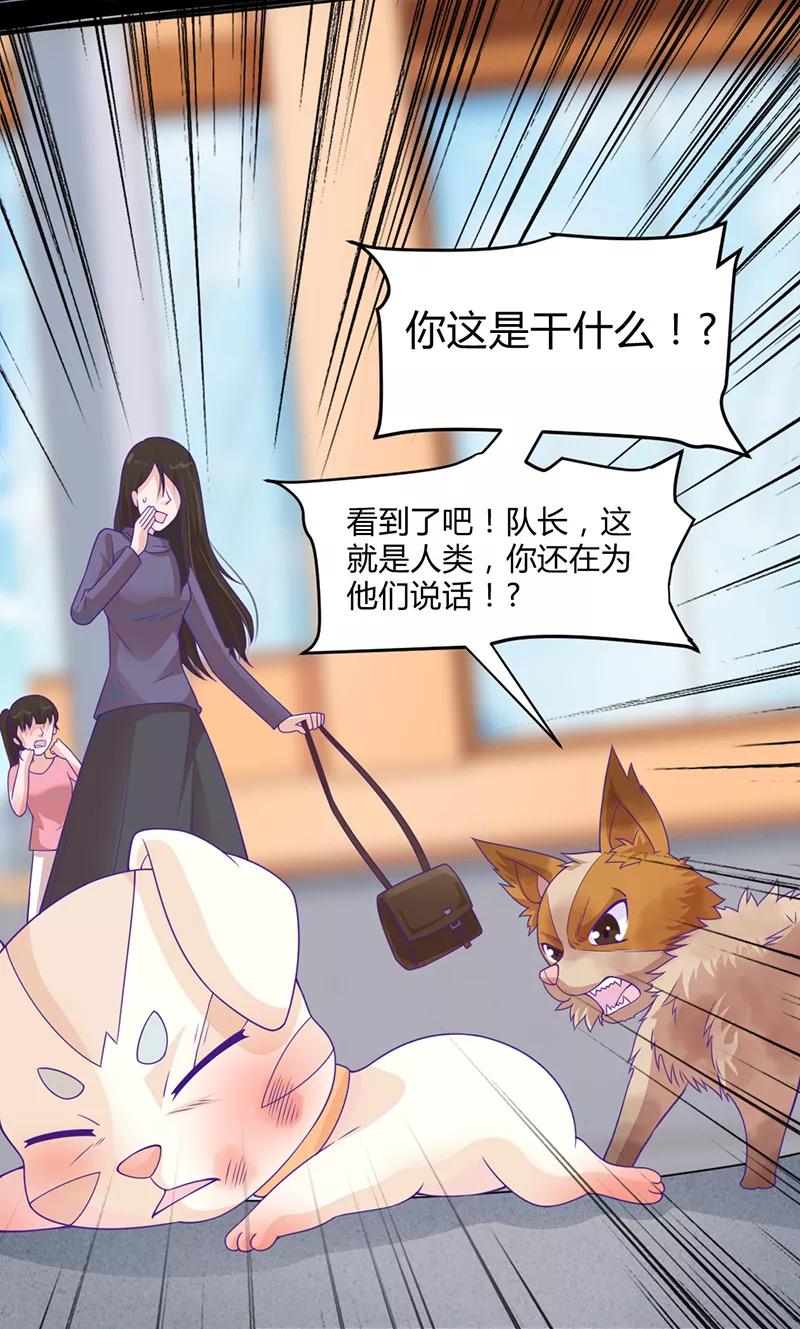 《狗粮好吃》第42话 第2页
