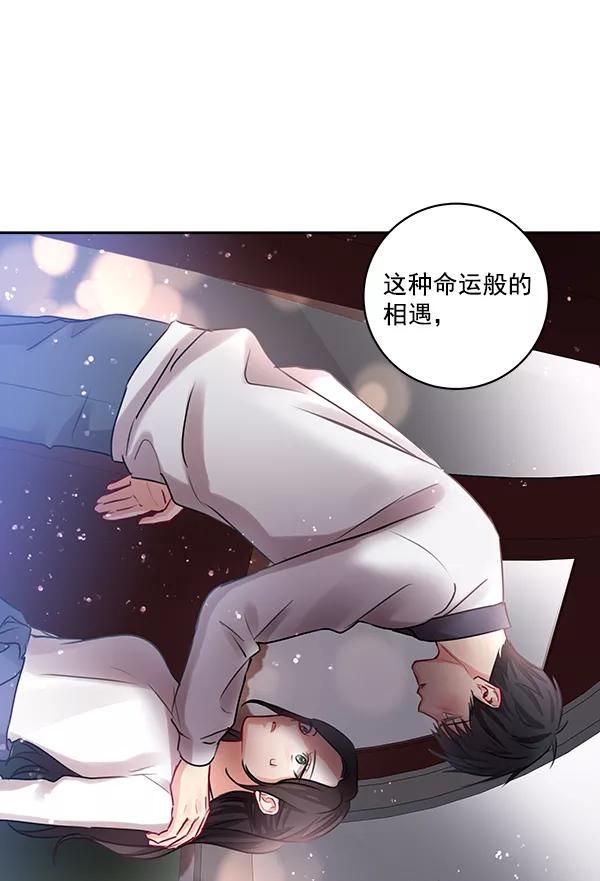 《独家恋爱指令》第29话 第48页