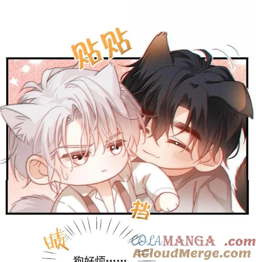 特浓信息素 030 安抚大型犬。 第4页