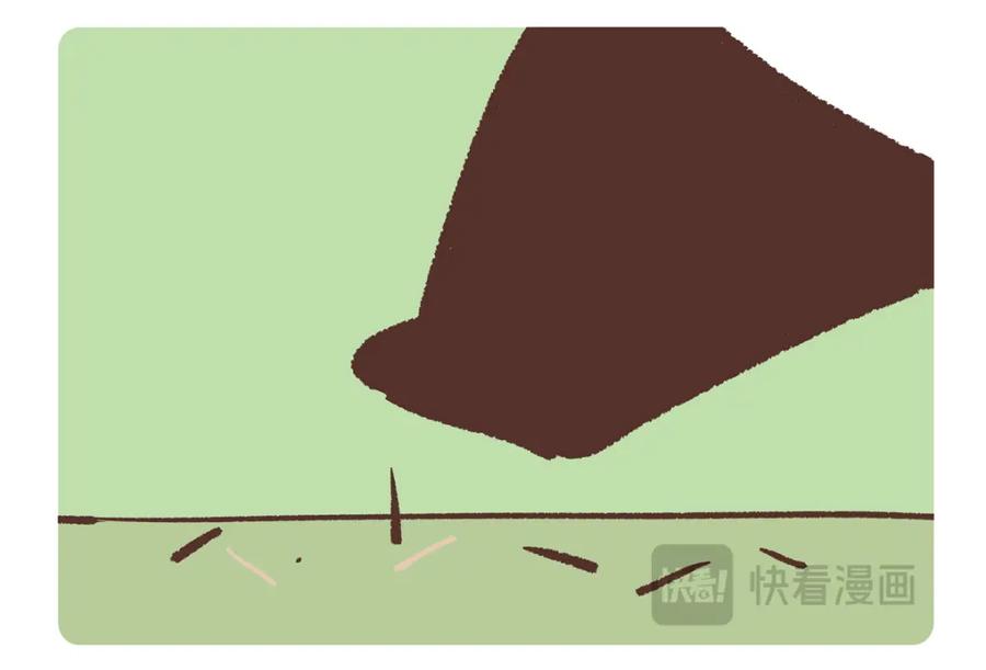 《胖达x胖达》第255话 第14页