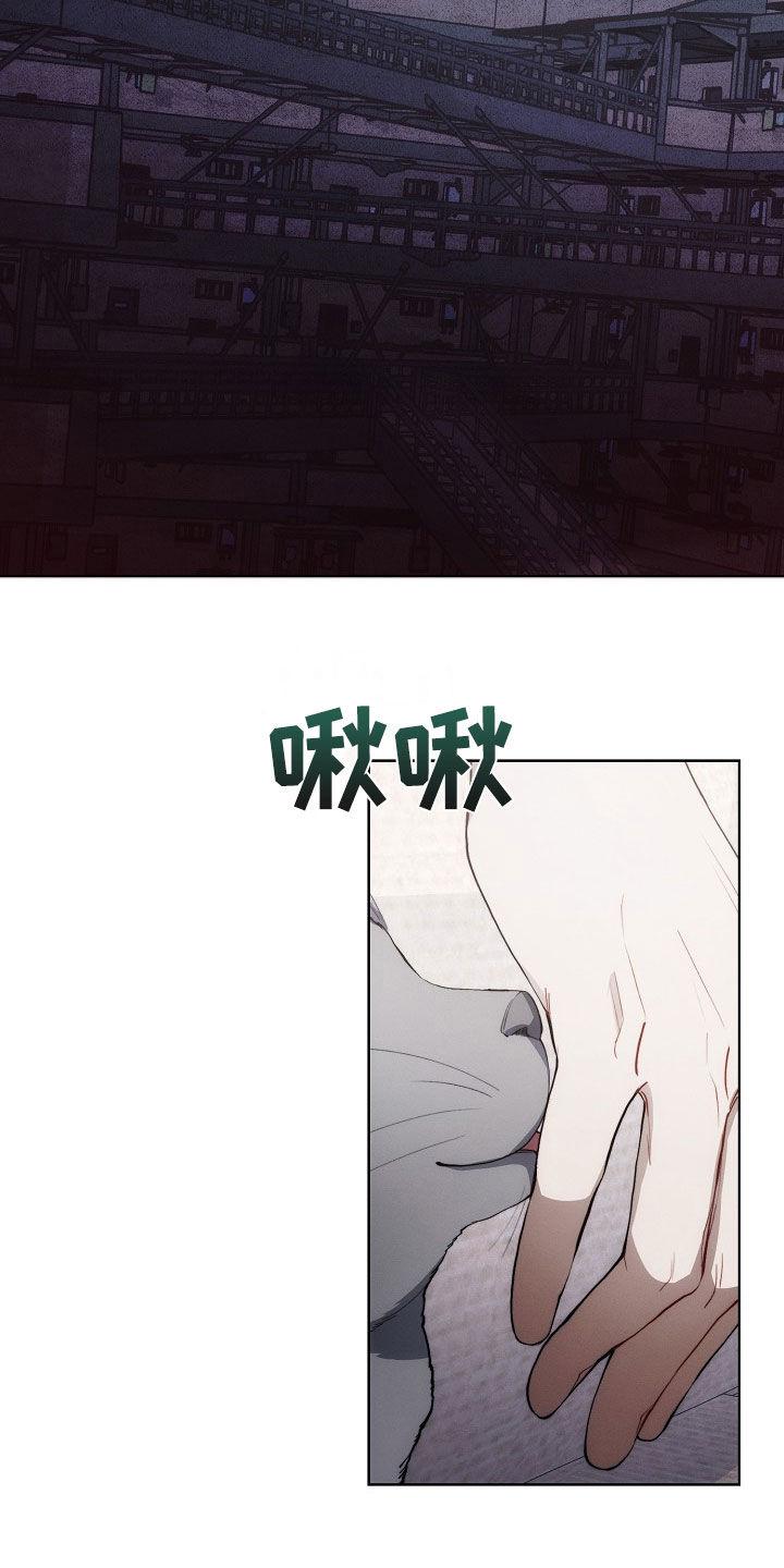 《血色公寓》第32章：思乡病 第12页