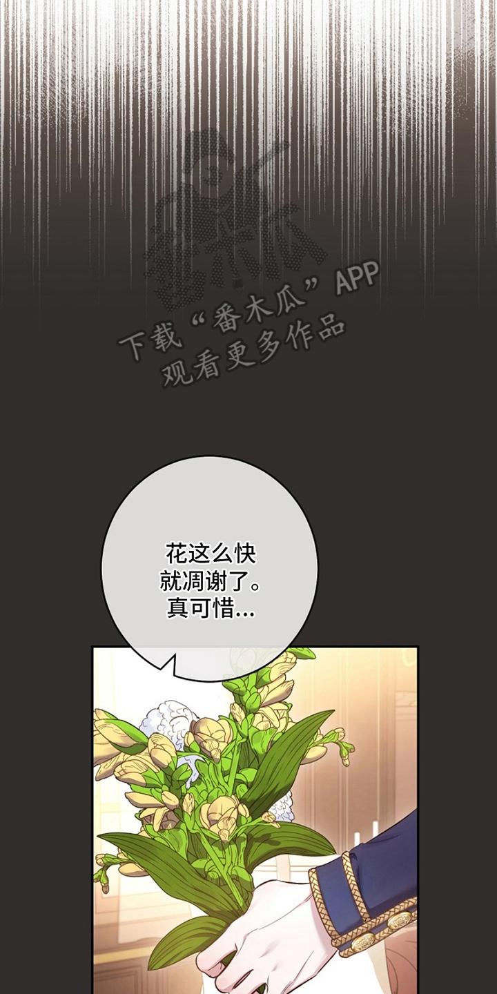 《爱上骑士团团长》第17章：借口 第23页