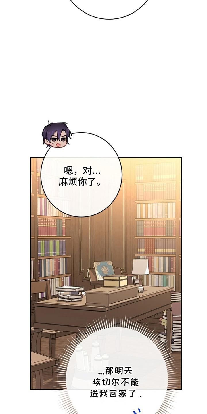 《爱上骑士团团长》第17章：借口 第42页