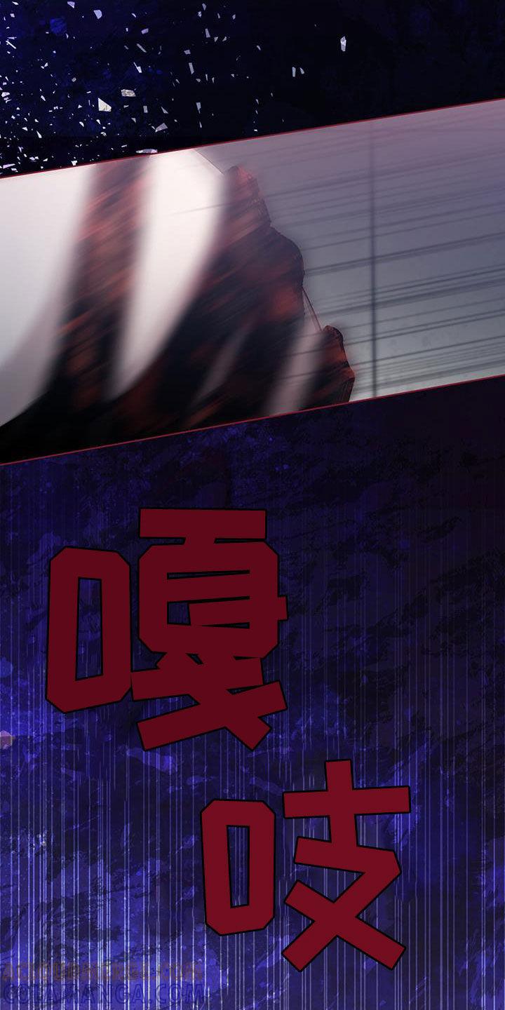《法外狂徒》第26章：被耍了 第15页