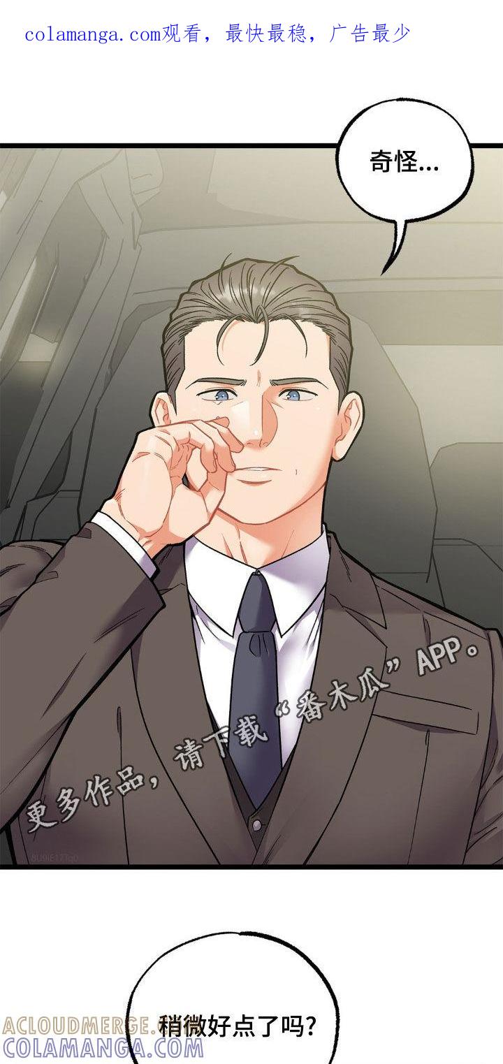 《浴火重生》第28章：负责 第1页