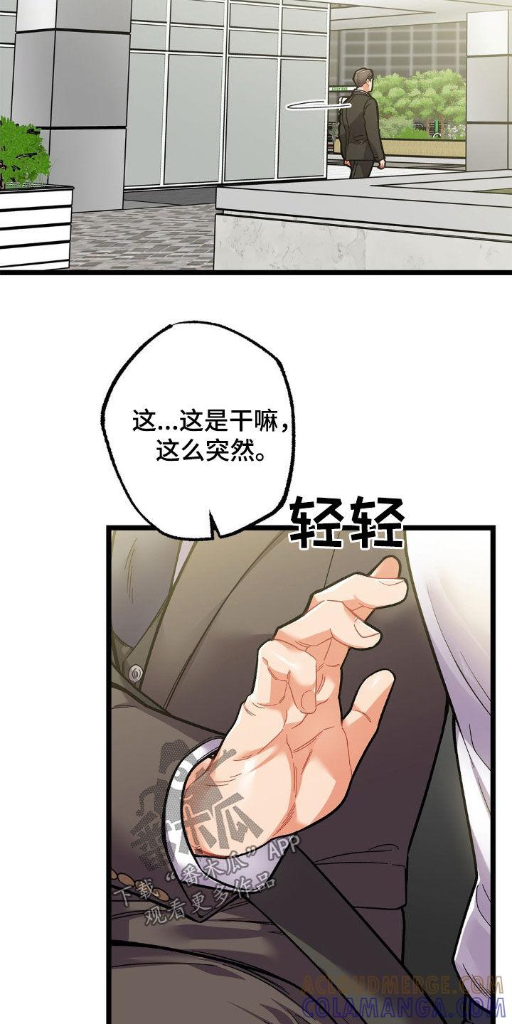 《浴火重生》第28章：负责 第7页