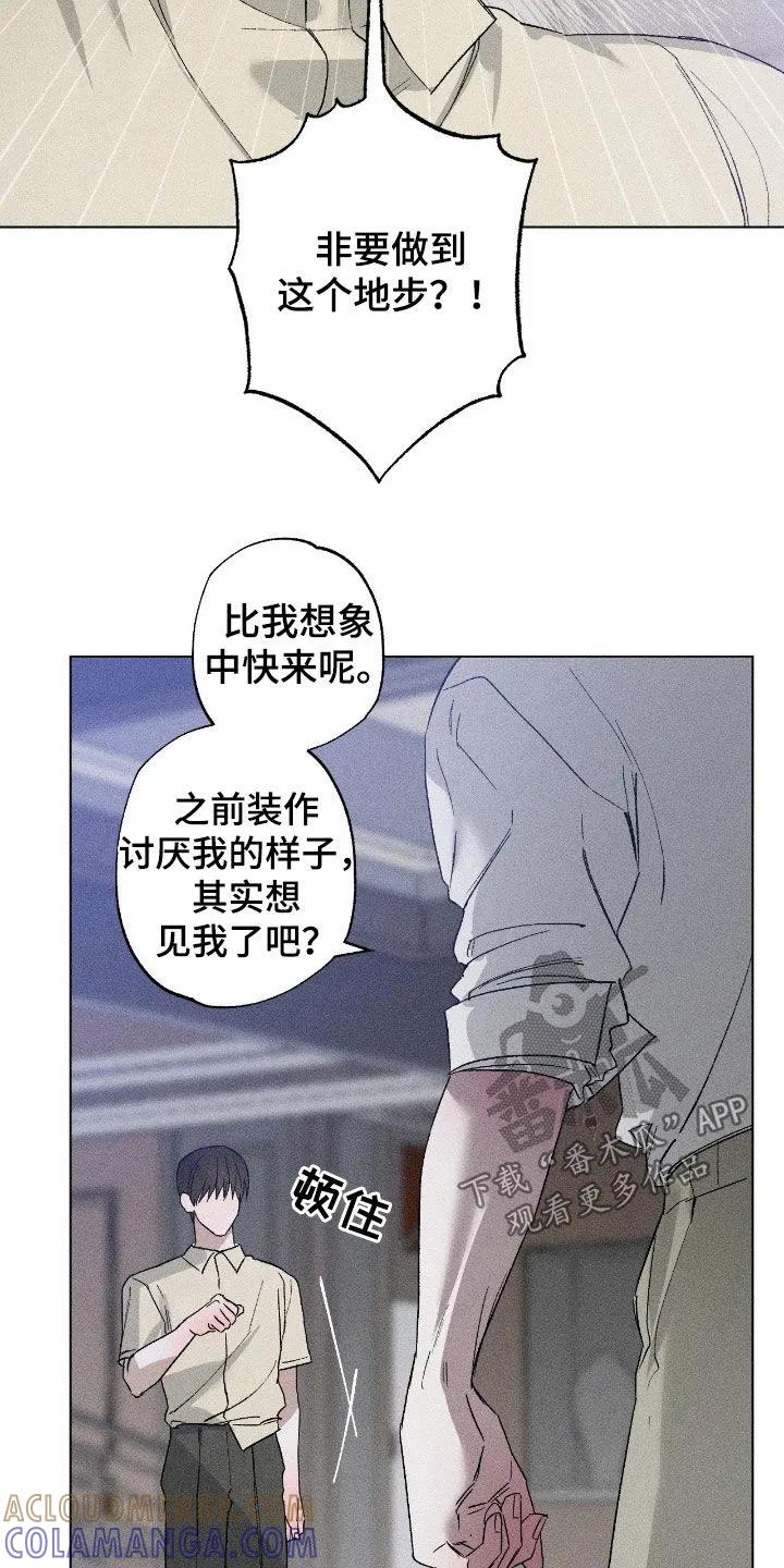 《特写爱意》第63章：【第二季】重新开始吧 第5页