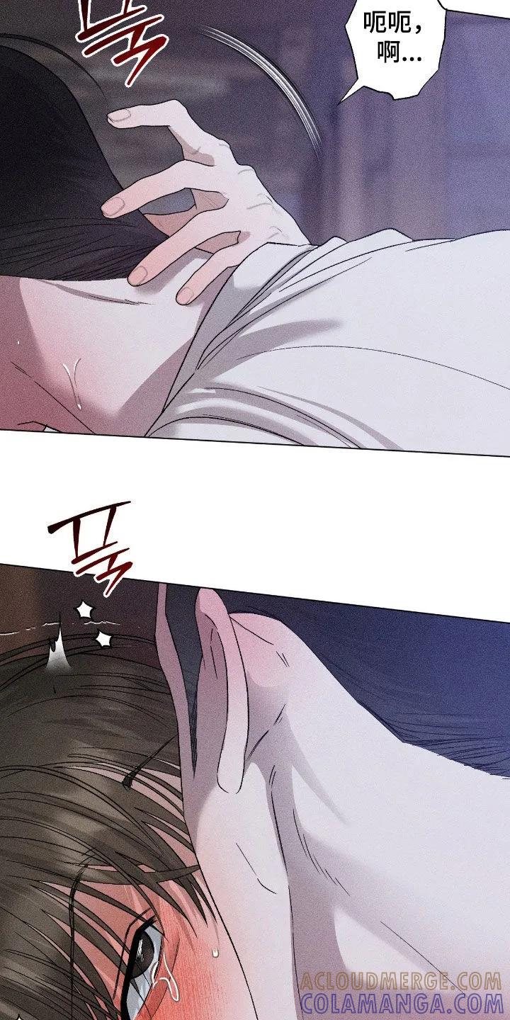 《特写爱意》第66章：【第二季】初次见面 第15页