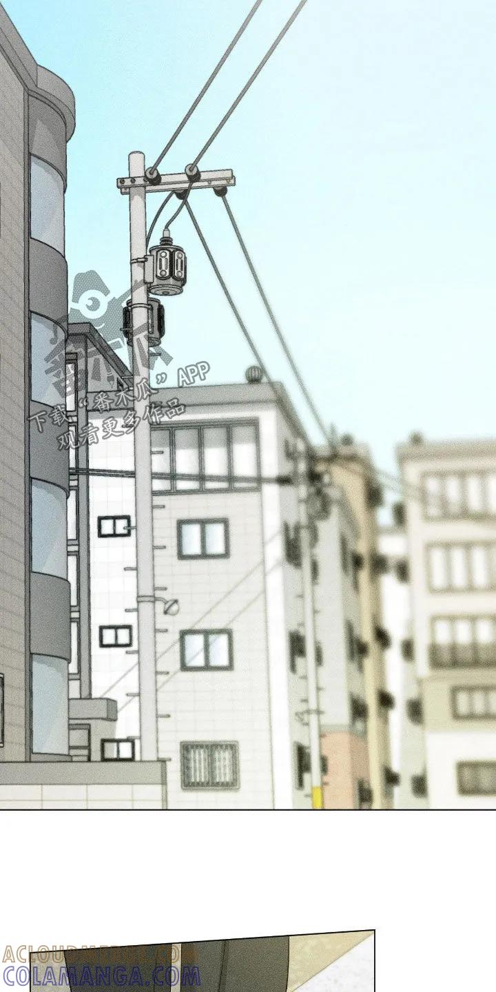 《特写爱意》第66章：【第二季】初次见面 第19页