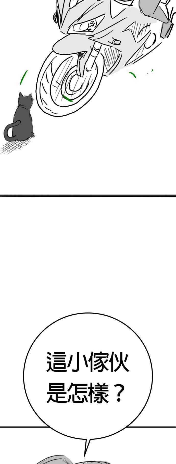 《现实闯关》特别篇：猫咪的语言 第18页