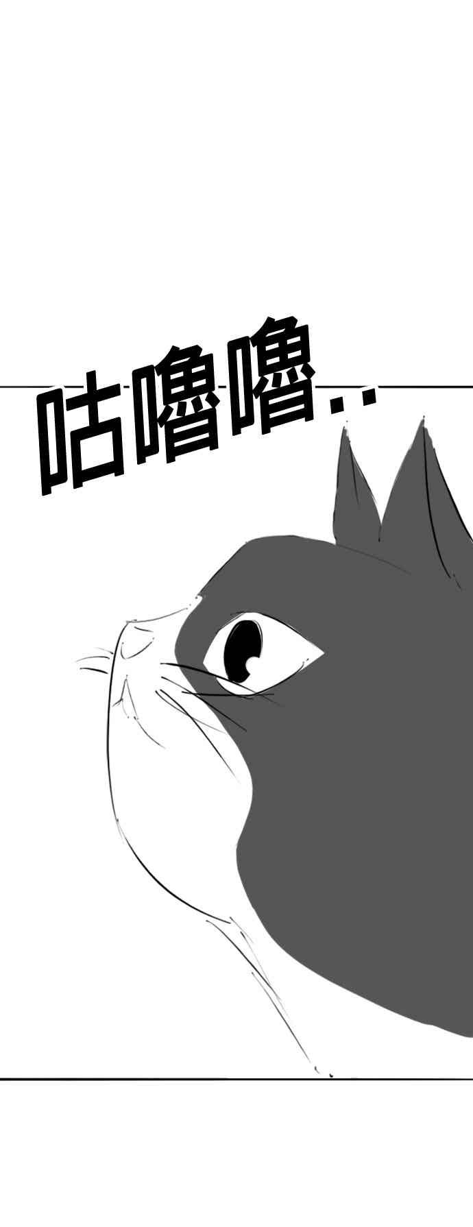 《现实闯关》特别篇：猫咪的语言 第54页