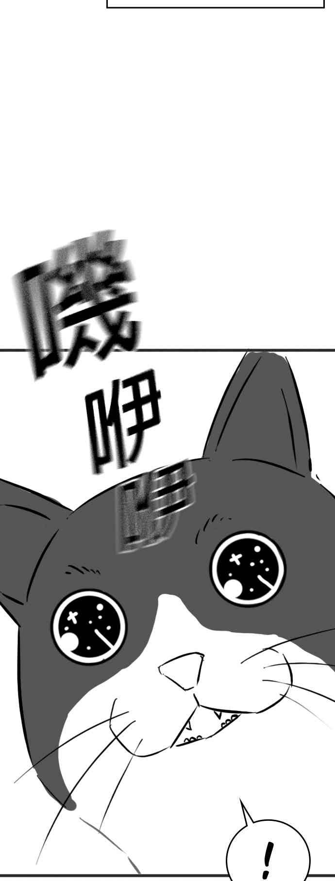 《现实闯关》特别篇：猫咪的语言 第15页