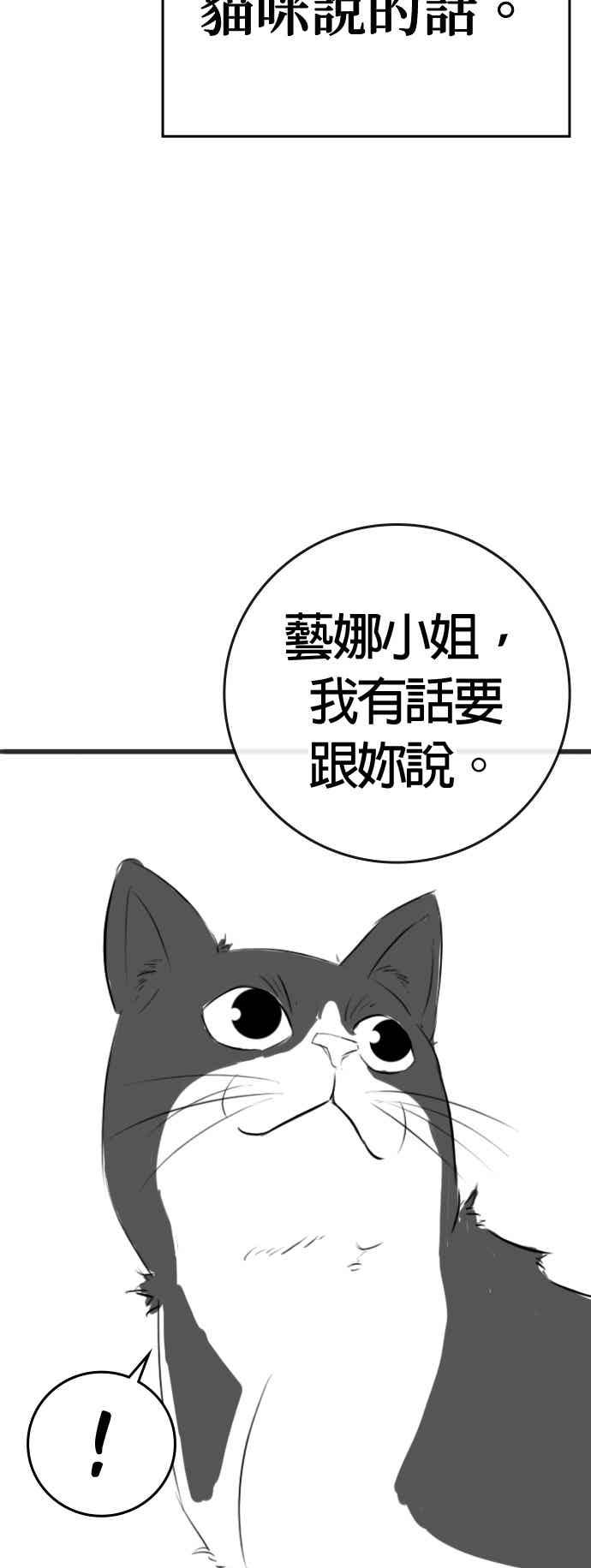《现实闯关》特别篇：猫咪的语言 第36页