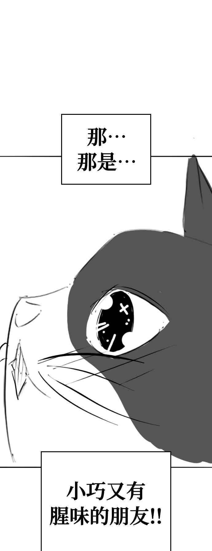 《现实闯关》特别篇：猫咪的语言 第57页