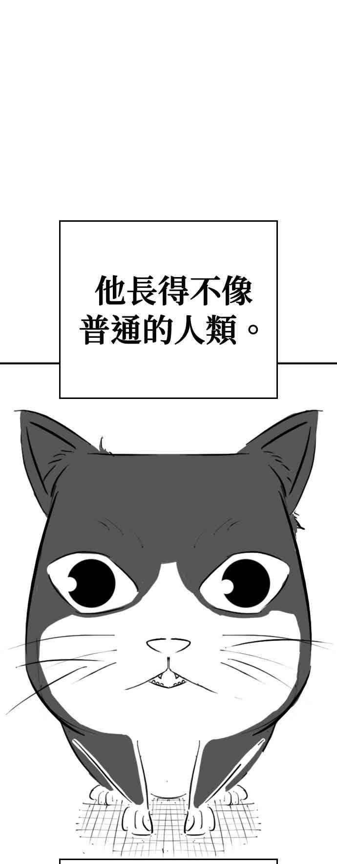 《现实闯关》特别篇：猫咪的语言 第41页