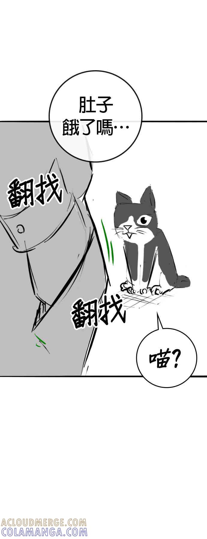 《现实闯关》特别篇：猫咪的语言 第55页