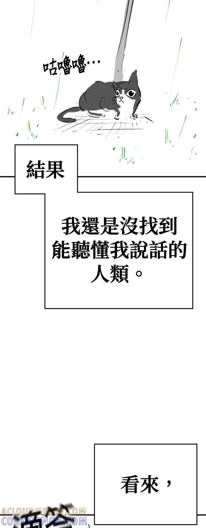 《现实闯关》特别篇：猫咪的语言 第49页