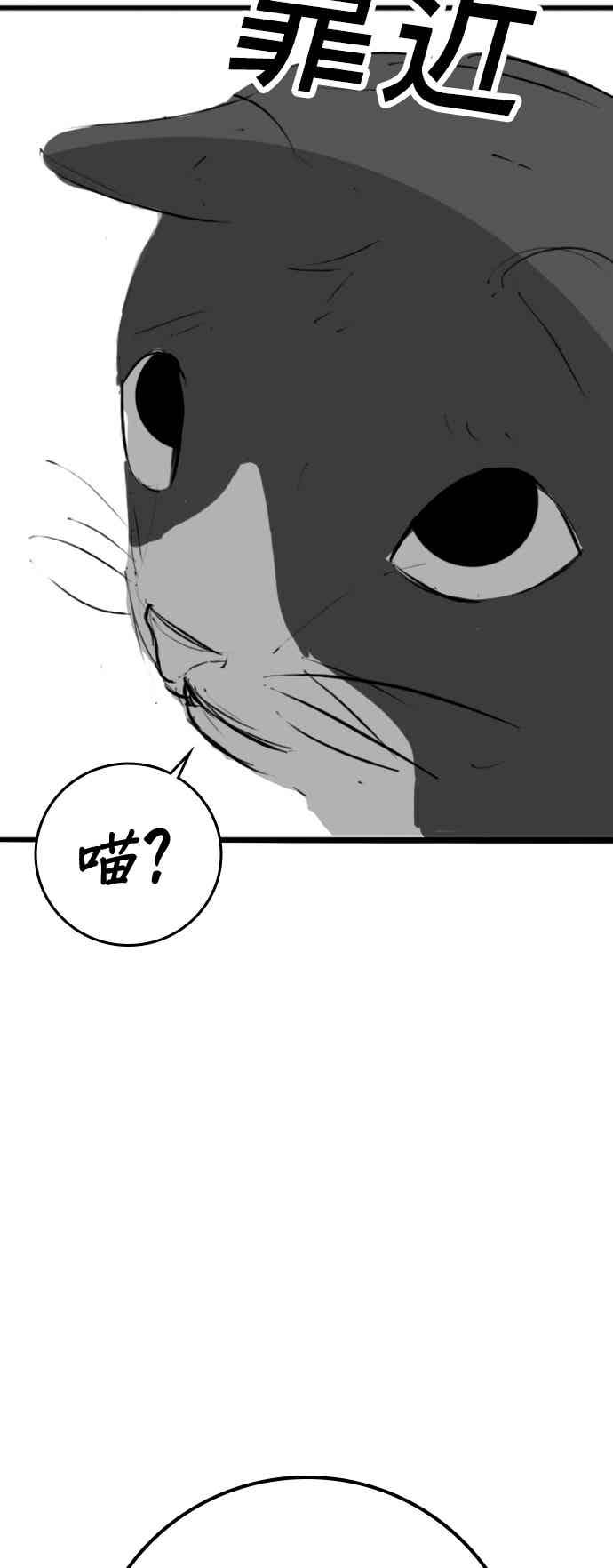 《现实闯关》特别篇：猫咪的语言 第51页
